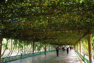 《卧龙：苍天陨落》Steam多半差评 鼠标操作体验不好